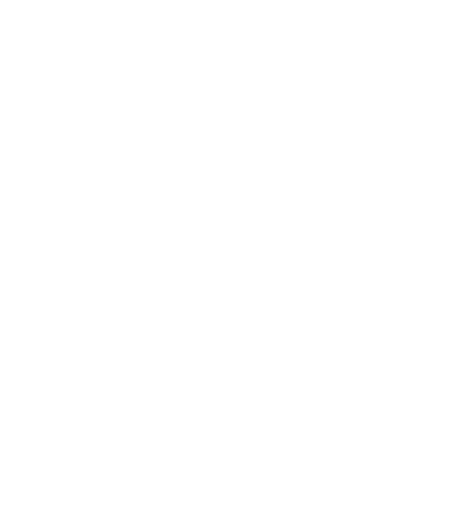 Mega Fortuna